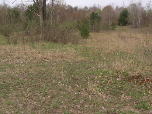 Western Michigan Speedway (West Michigan Speedway) - Spring 2008 From Me (newer photo)
